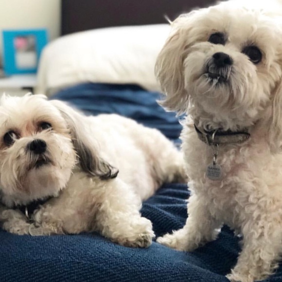 Hi, I’m Kathryn - Picture 1 of 1